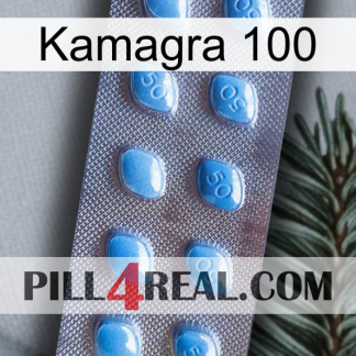 Kamagra 100 viagra3